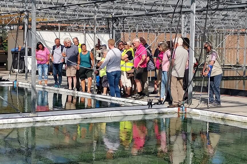 Algenfarm Averbeck Die Algengewinung ist ein sehr spezieller Landwirtschaftszweig