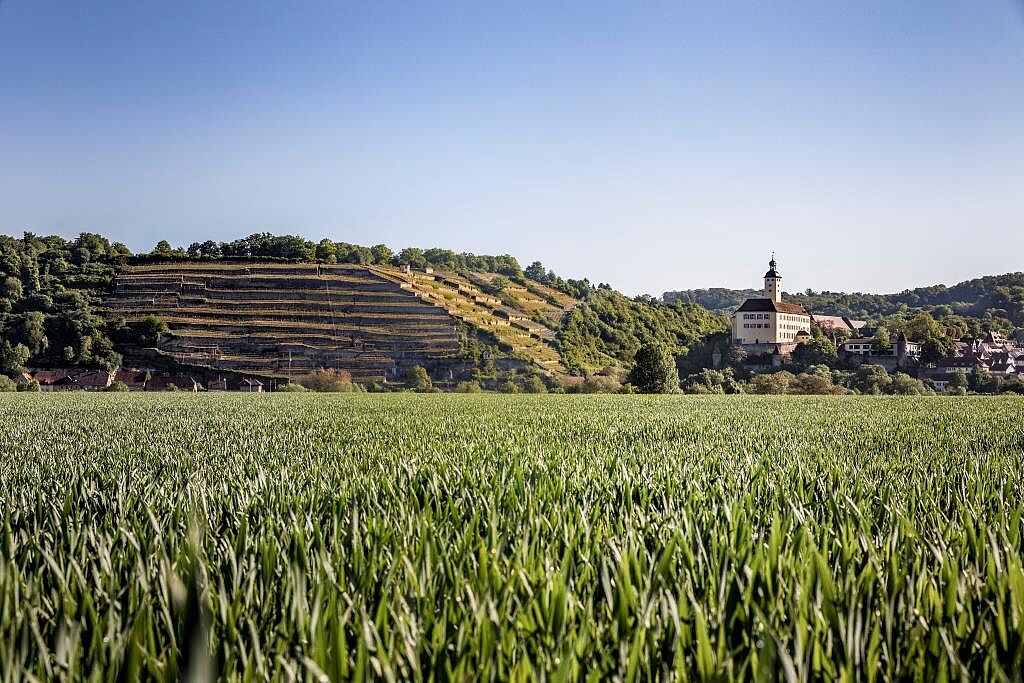 Odenwald-Madonnen-Radweg_Gundelsheim_Schloss Horneck Odenwald-Madonnen-Radweg_Gundelsheim_Schloss Horneck