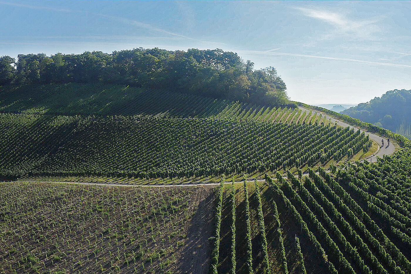 Weinhänge Württemberger Weinradweg Weinhänge Württemberger Weinradweg