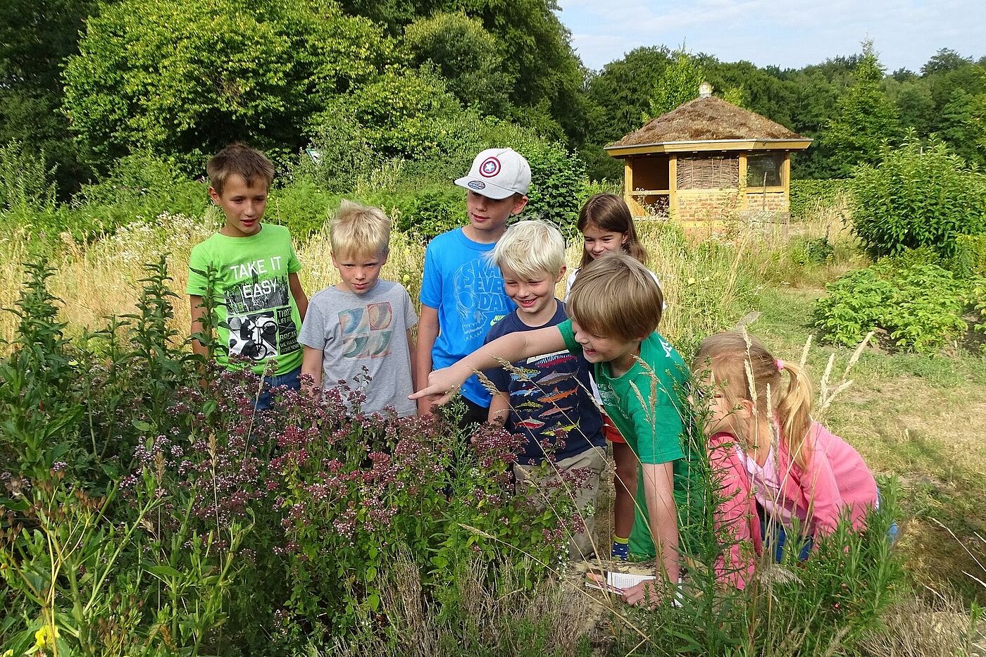 NABU Naturgarten - Kinder am Kräutergarten