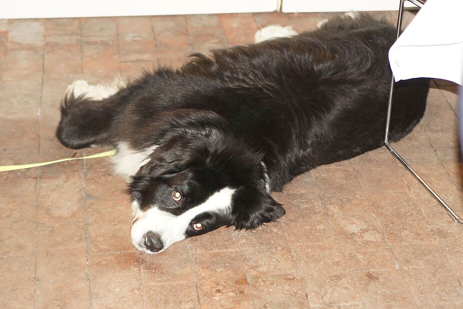 Nicht alle waren interessiert Nicht alle waren interessiert