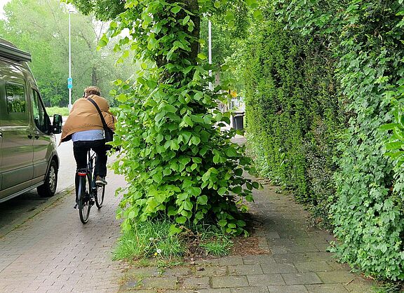 Radweg Von-Esmarch-Straße