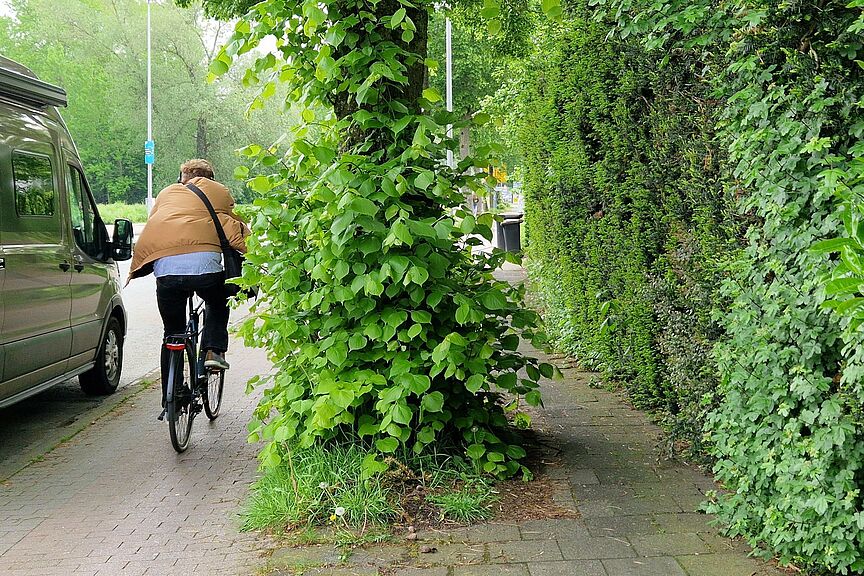 Von-Esmarch-Straße Radweg Von-Esmarch-Straße